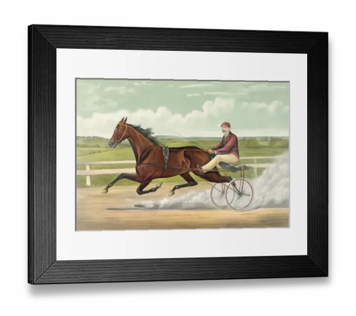 Framed Print : Trotting Queen Alix: record 2: 03 3 / 4 Framed Print : Trotting Queen Alix: record 2: 03 3 / 4