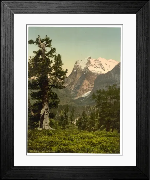 Framed Print : Wetterhorn, general view, Bernese Oberland, Switzerland Framed Print : Wetterhorn, general view, Bernese Oberland, Switzerland