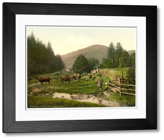 Framed Print : Forest House, Lauterberg (i. e. Bad Lauterberg im Harz), Hart Framed Print : Forest House, Lauterberg (i. e. Bad Lauterberg im Harz), Hart
