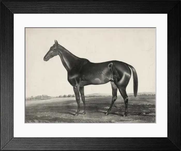 Framed Print : Wild Irishman Framed Print : Wild Irishman