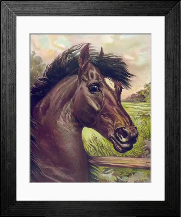 Framed Print : A prince of the blood Framed Print : A prince of the blood