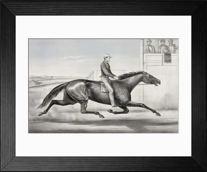 Framed Print : Pacing horse Billy Boyce of St. Louis: as he appeared at Buf Framed Print : Pacing horse Billy Boyce of St. Louis: as he appeared at Buf