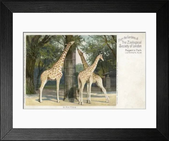 Framed Print : Date Framed Print : Date