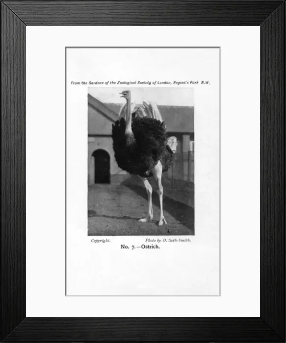 Framed Print : Date Framed Print : Date