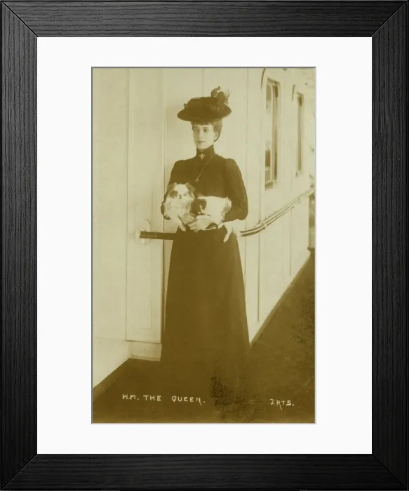 Framed Print : The Queen Mary of Teck Framed Print : The Queen Mary of Teck