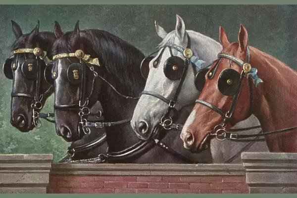 Four fine horses wearing blinkers