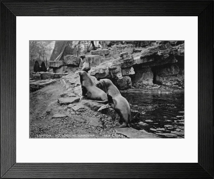 Framed Print : Date Framed Print : Date