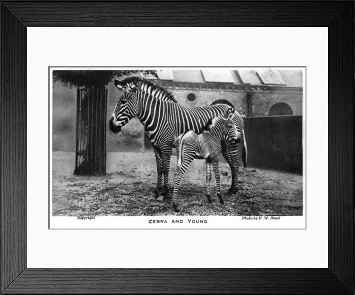 Framed Print : Date Framed Print : Date