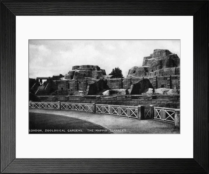 Framed Print : Date Framed Print : Date