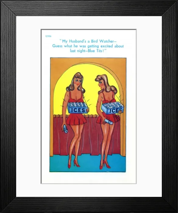 Framed Print : Ornithological Humour at the Cinema Framed Print : Ornithological Humour at the Cinema