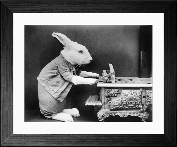 Framed Print : A Rabbit at the stove Framed Print : A Rabbit at the stove
