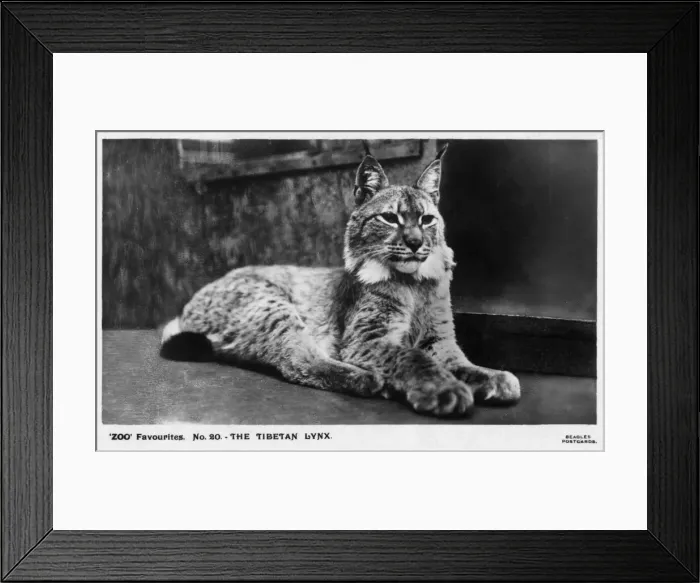 Framed Print : Date Framed Print : Date