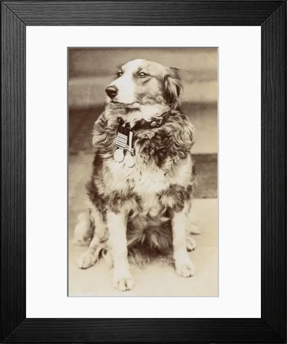 Framed Print : Date Framed Print : Date