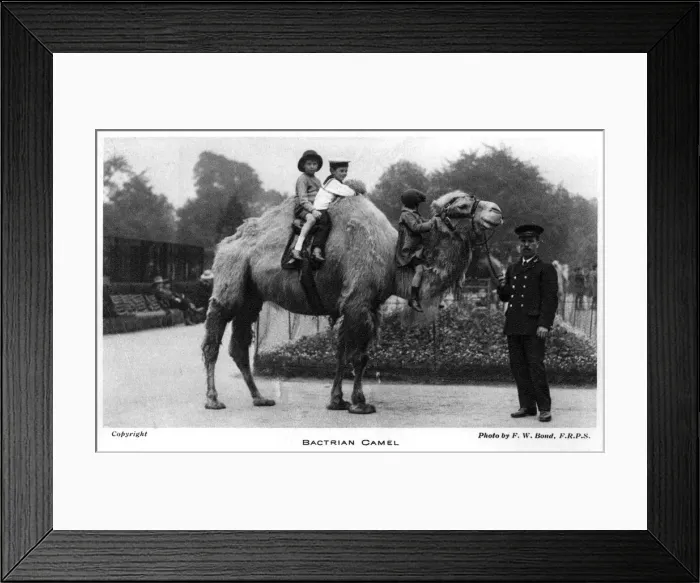 Framed Print : Date Framed Print : Date