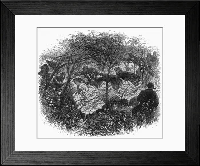 Framed Print : British Association outing to the Wrekin Framed Print : British Association outing to the Wrekin