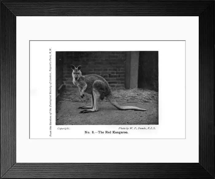 Framed Print : Date Framed Print : Date