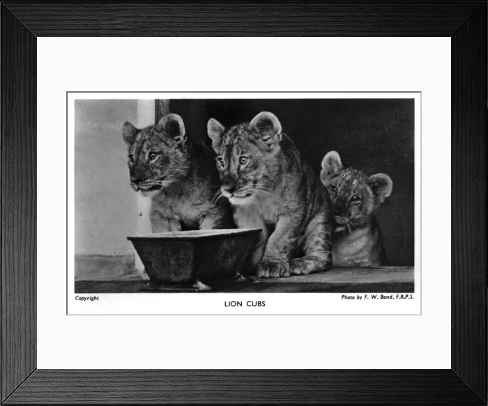 Framed Print : Date Framed Print : Date