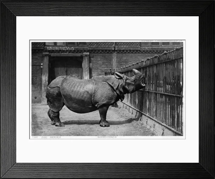 Framed Print : Date Framed Print : Date