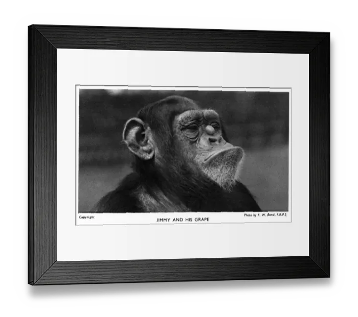 Framed Print : Date Framed Print : Date