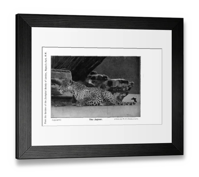 Framed Print : Date Framed Print : Date