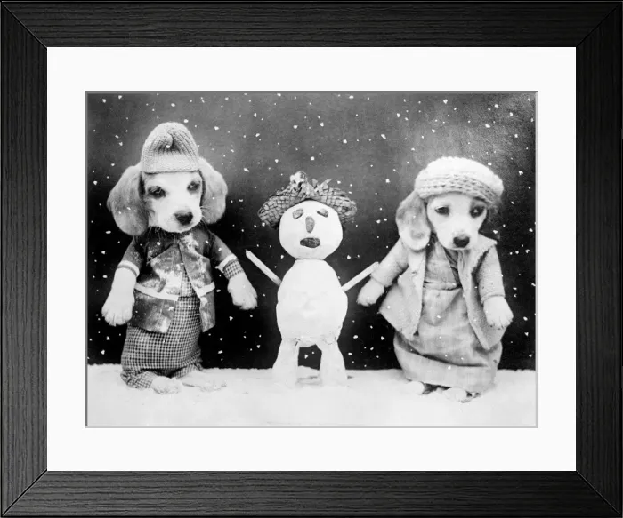 Framed Print : Two dogs and a snowman Framed Print : Two dogs and a snowman