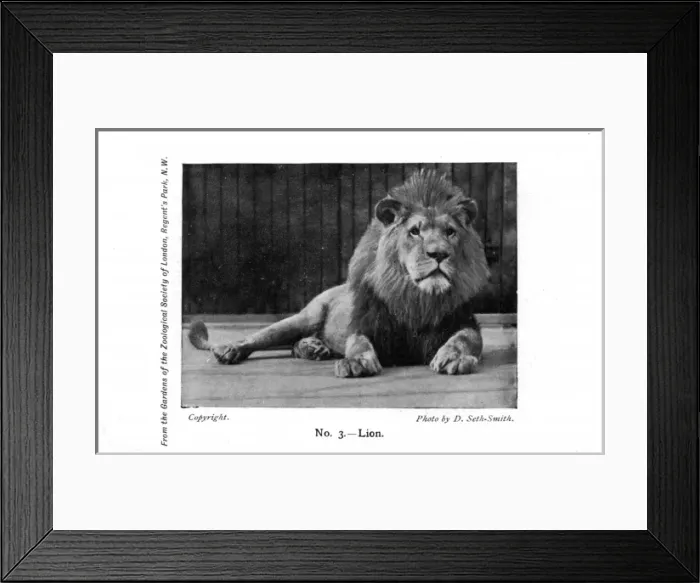 Framed Print : Date Framed Print : Date