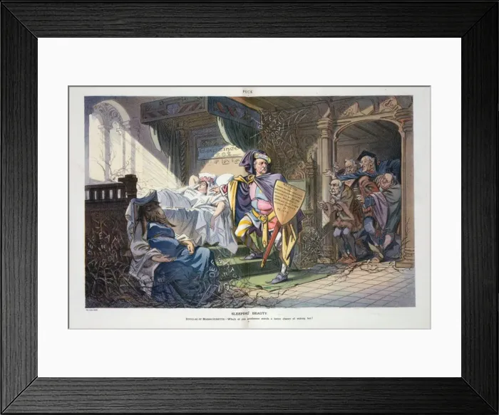Framed Print : Sleeping beauty Framed Print : Sleeping beauty