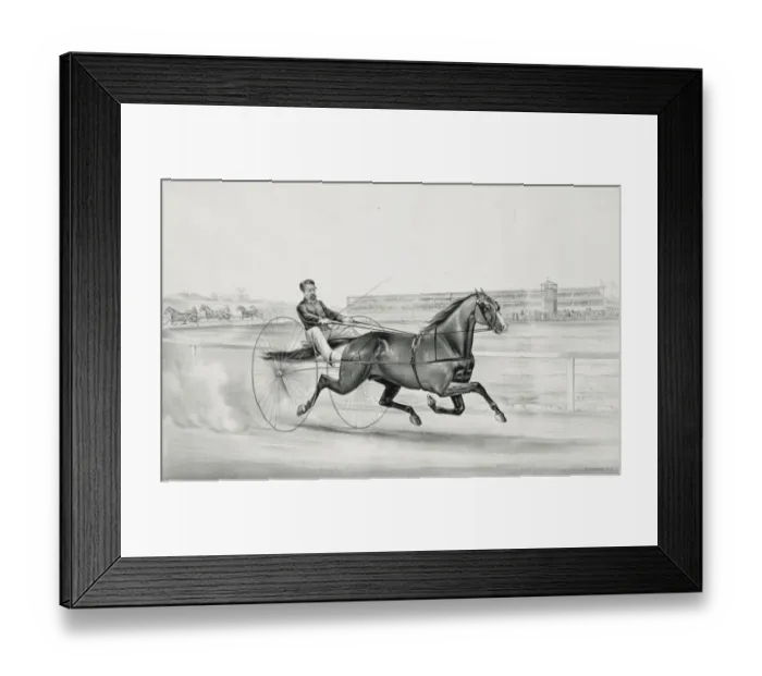 Framed Print : Champion trotting stallion Smuggler owned by H. S. Russell, M Framed Print : Champion trotting stallion Smuggler owned by H. S. Russell, M