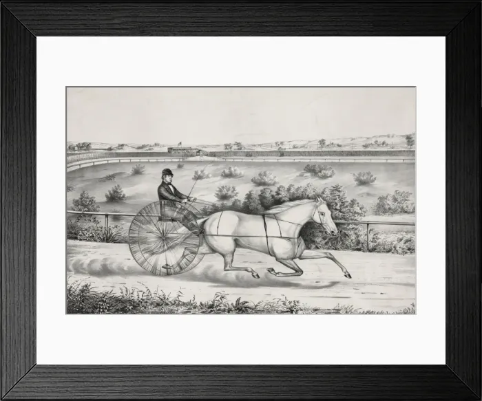 Framed Print : Lady Suffolk, Centreville Course, L. I. Friday, Aug. 3, 1849 Framed Print : Lady Suffolk, Centreville Course, L. I. Friday, Aug. 3, 1849