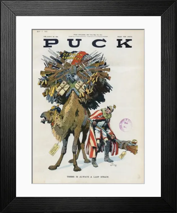 Framed Print : There is always a last straw Framed Print : There is always a last straw