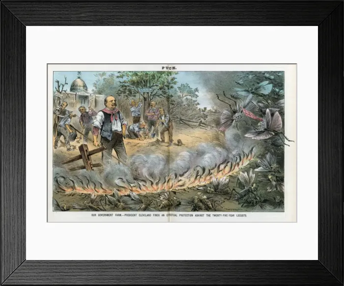 Framed Print : Our government farm - President Cleveland finds an effectual Framed Print : Our government farm - President Cleveland finds an effectual