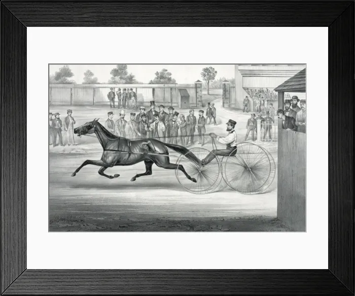 Framed Print : Celebrated trotting horse John Stewart as he appeared on Framed Print : Celebrated trotting horse John Stewart as he appeared on