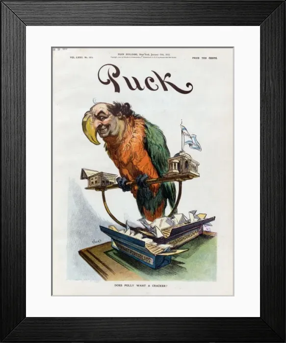 Framed Print : Does Polly want a cracker? Framed Print : Does Polly want a cracker?