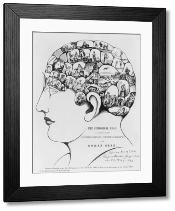 Framed Print : The Symbolical head, illustrating all the phrenological deve Framed Print : The Symbolical head, illustrating all the phrenological deve