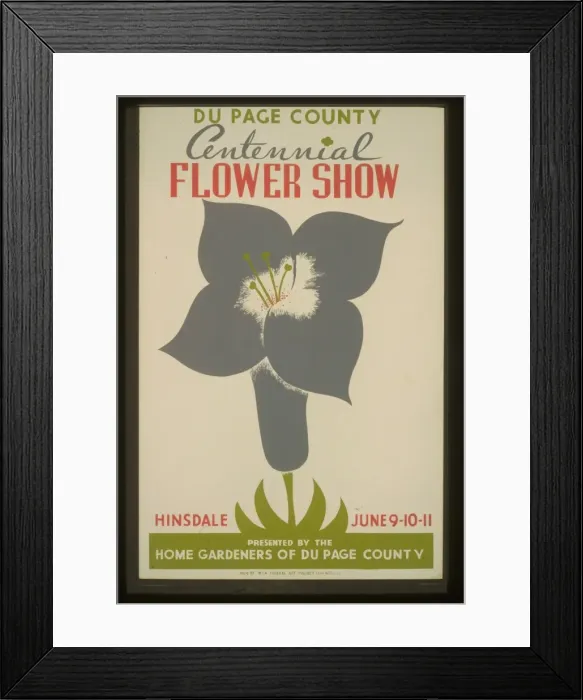 Framed Print : Du Page County centennial flower show Framed Print : Du Page County centennial flower show