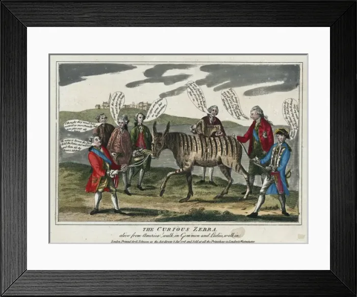 Framed Print : The curious zebra - alive from America! walk in gem men Framed Print : The curious zebra - alive from America! walk in gem men