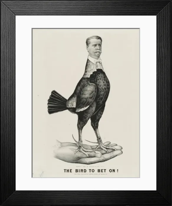 Framed Print : The bird to bet on Framed Print : The bird to bet on