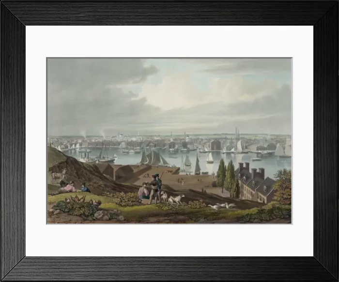 Framed Print : Baltimore from Federal Hill Framed Print : Baltimore from Federal Hill