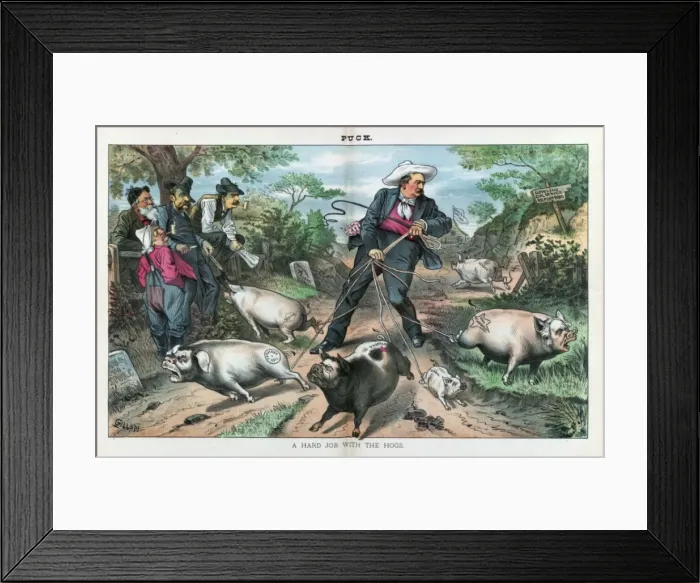 Framed Print : A hard job with the hogs Framed Print : A hard job with the hogs