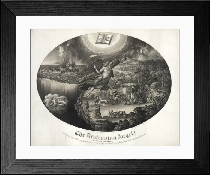 Framed Print : The Destroying angel Framed Print : The Destroying angel