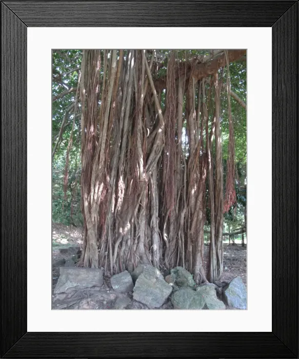 Framed Print : India, Orissa, Konarak Framed Print : India, Orissa, Konarak