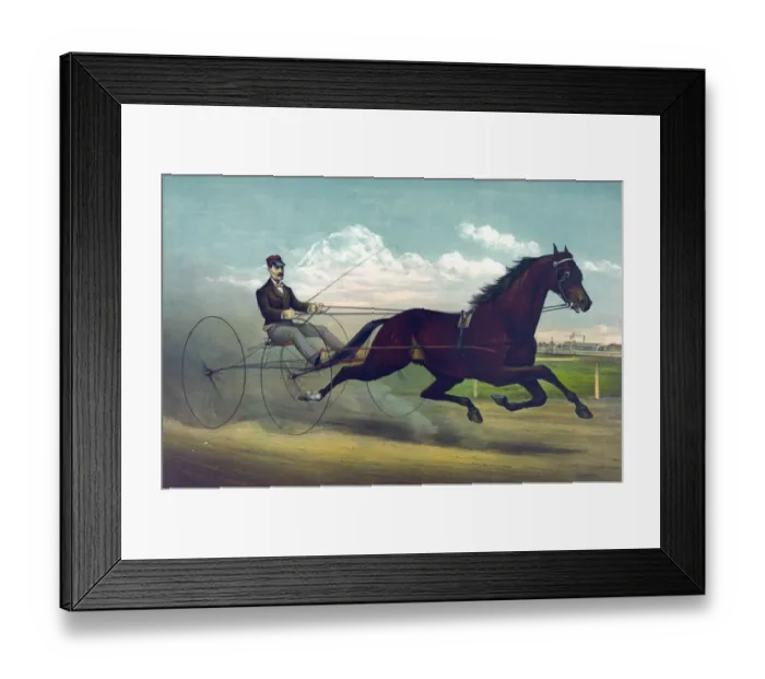 Framed Print : Champion Stallion George Wilkes, the great sire of trotters Framed Print : Champion Stallion George Wilkes, the great sire of trotters