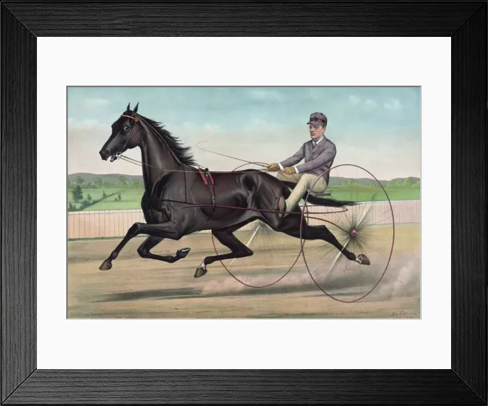 Framed Print : Celebrated trotter Jay Eye See, driven by Ed. Bithers: By Di Framed Print : Celebrated trotter Jay Eye See, driven by Ed. Bithers: By Di