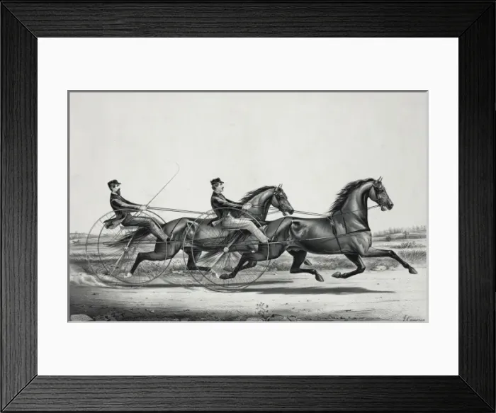Framed Print : The celebrated trotting Stallions Young Woful and Abdallah C Framed Print : The celebrated trotting Stallions Young Woful and Abdallah C