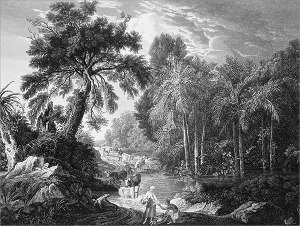 A view in the Island of Jamaica, of the spring-head of Roari