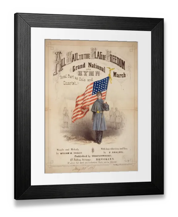 Framed Print : All hail to the flag of freedom Framed Print : All hail to the flag of freedom