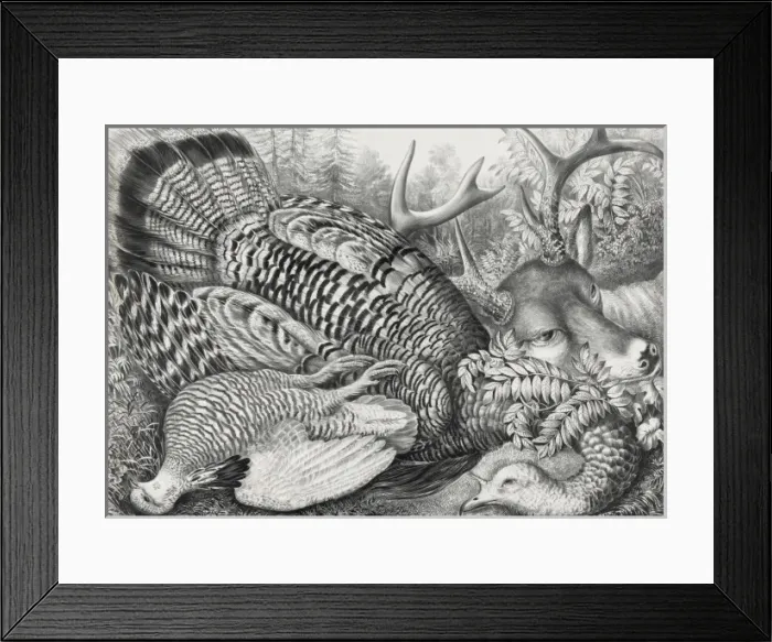 Framed Print : American forest game Framed Print : American forest game