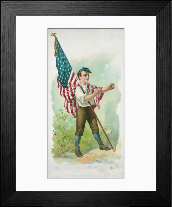 Framed Print : Don t touch my flag Framed Print : Don t touch my flag