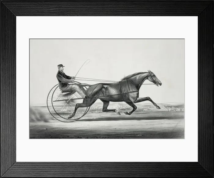 Framed Print : The celebrated trotting mare Widow McChree, formerly called Framed Print : The celebrated trotting mare Widow McChree, formerly called