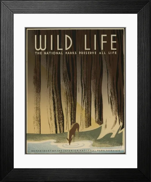 Framed Print : Wild life The national parks preserve all life Framed Print : Wild life The national parks preserve all life